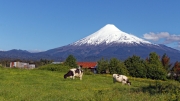 10 - Puerto Varas (11)